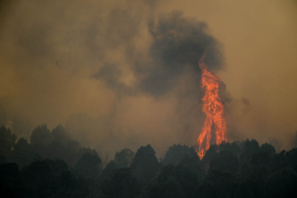 Grand Canyon road reopens after lightning-caused wildfire