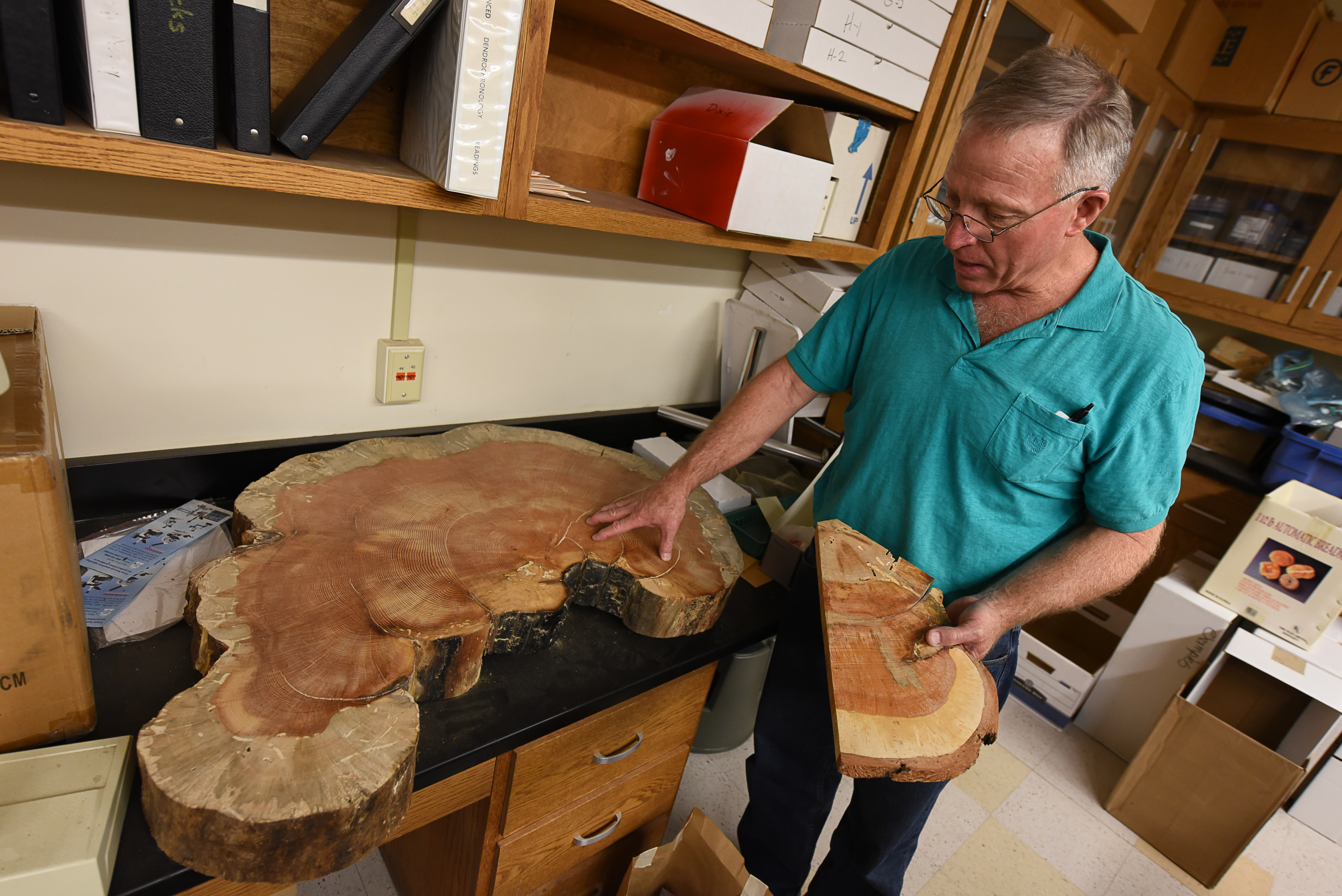 (Francisco Kjolseth | The Salt Lake Tribune) Stanley G. Kitchen, a research botanist at the Shrub Sciences Laboratory in Provo, describes the different details on two very different ponderosa pine samples. One from a much wetter climate on the Tushar Mountains, at left, dated at over 350-years-old and the other from a much drier climate on the Wah Wah Mountains dated at 926 years-old. Kitchen has reconstructed past fire regimes by examining tree ring data to get a clearer picture of our fire and climate history.