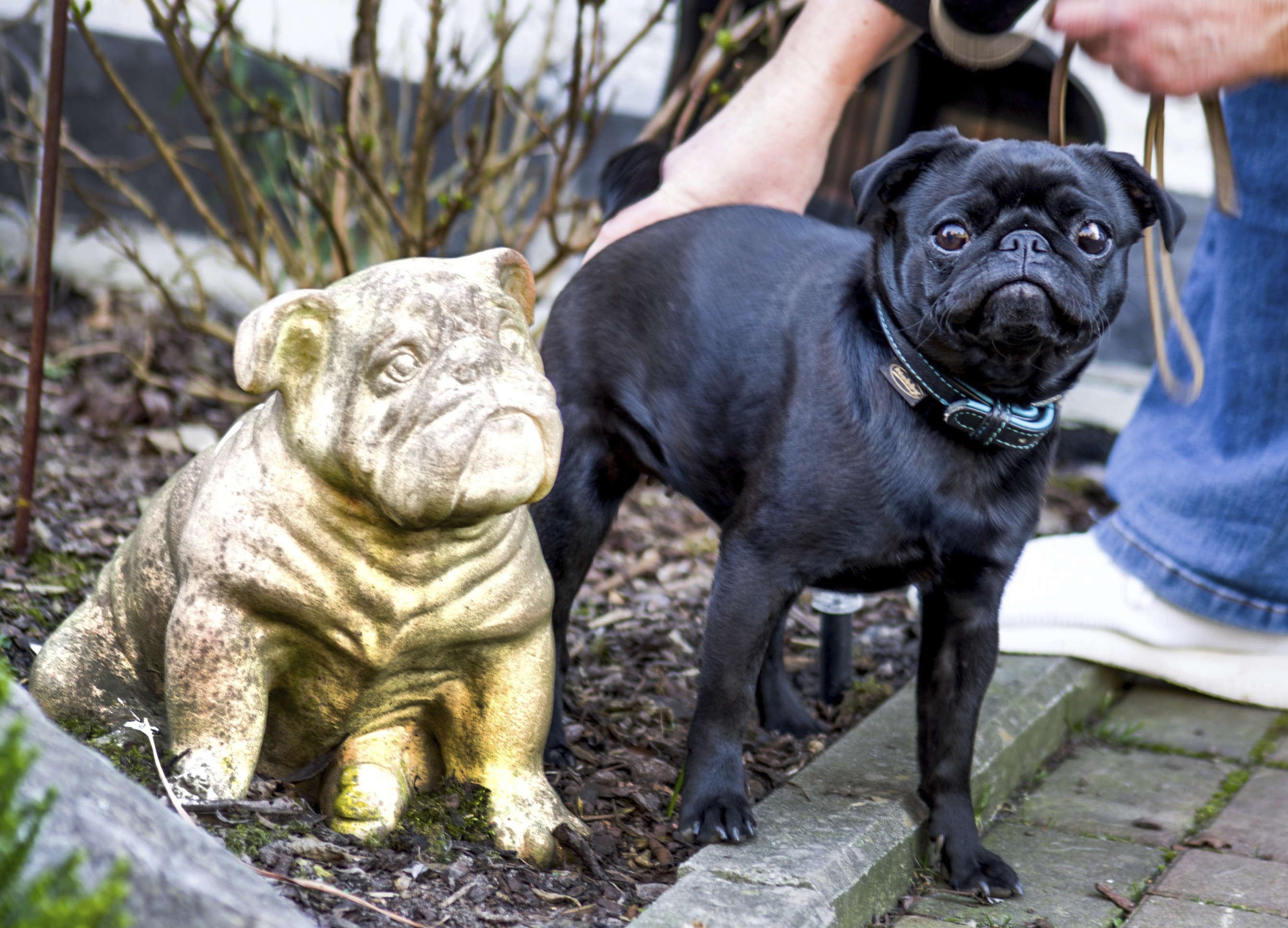 Political Cornflakes: A family couldn't pay its debts to the city