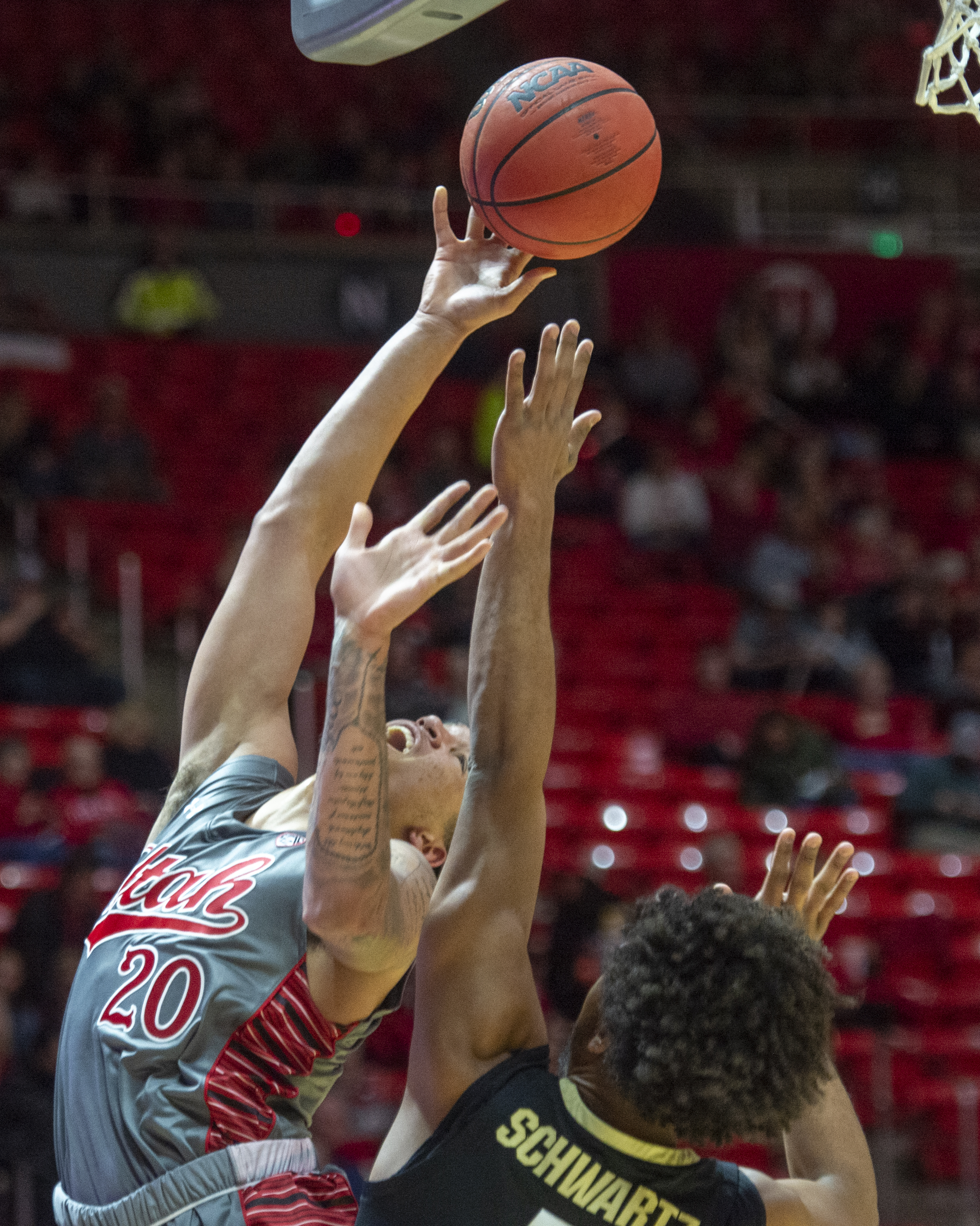 (Rick Egan | The Salt Lake Tribune) Utah Utes forward Timmy Allen (20) shoots over Colorado Buffaloes guard D'Shawn Schwartz (5), in PAC-12 basketball action between the Utah Utes and the Colorado Buffaloes at the Jon M. Huntsman Center, Sunday, Jan. 20, 2019. 