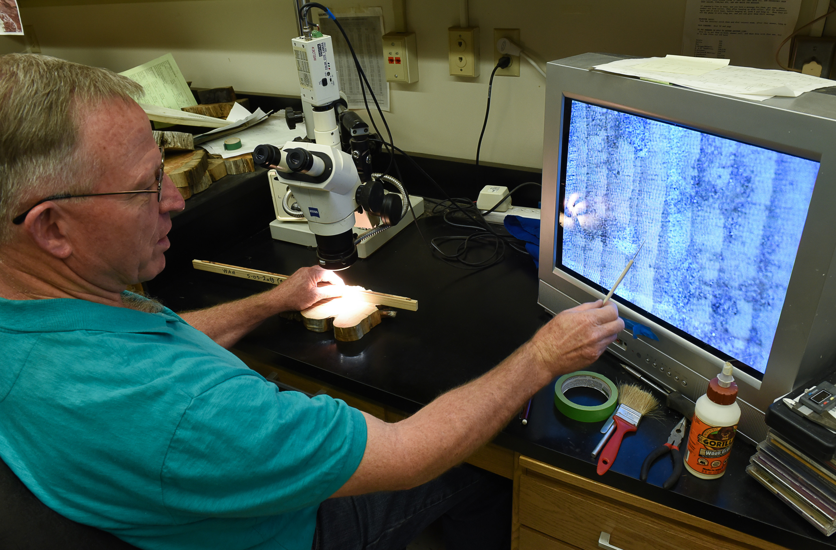 (Francisco Kjolseth | The Salt Lake Tribune) Stanley G. Kitchen, uses a high powered stereoscopic microscope to count tree rings on a core sample taken from a tree. Kitchen, scientist-in-charge at Desert Experimental Range, part of Forest Service's Rocky Mountain Research Station has reconstructed past fire regimes by examining tree ring data. He has documented the world's oldest ponderosa pines in Utah's Wah Wah Mountains, some of which are more than 900 years old.
