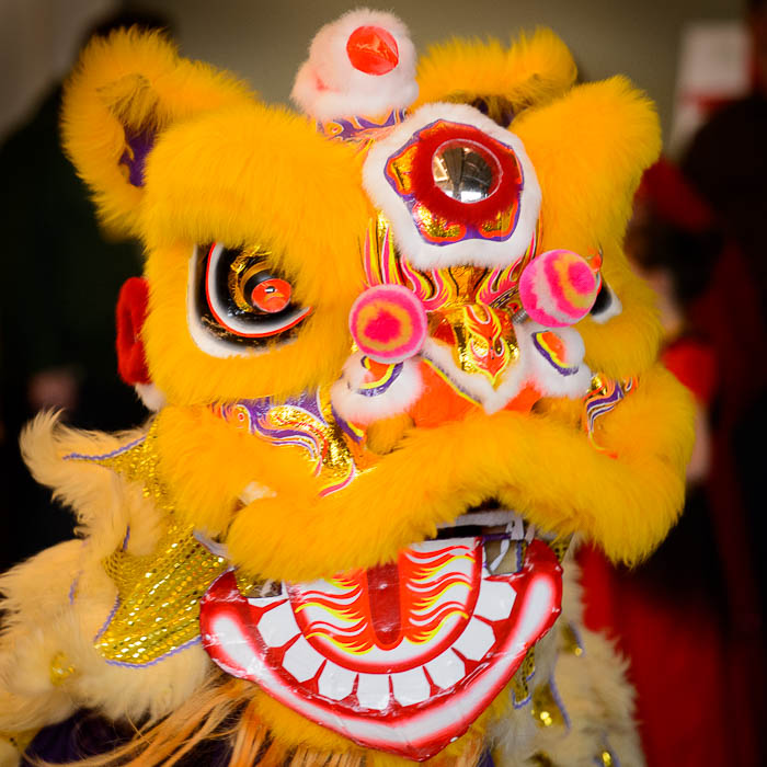 (Trent Nelson | The Salt Lake Tribune) Students from Calvin Smith Elementary perform a Lion Dance at the Chinese New Year Celebration at the County Library's Viridian Event Center in West Jordan, Saturday Feb. 17, 2018.