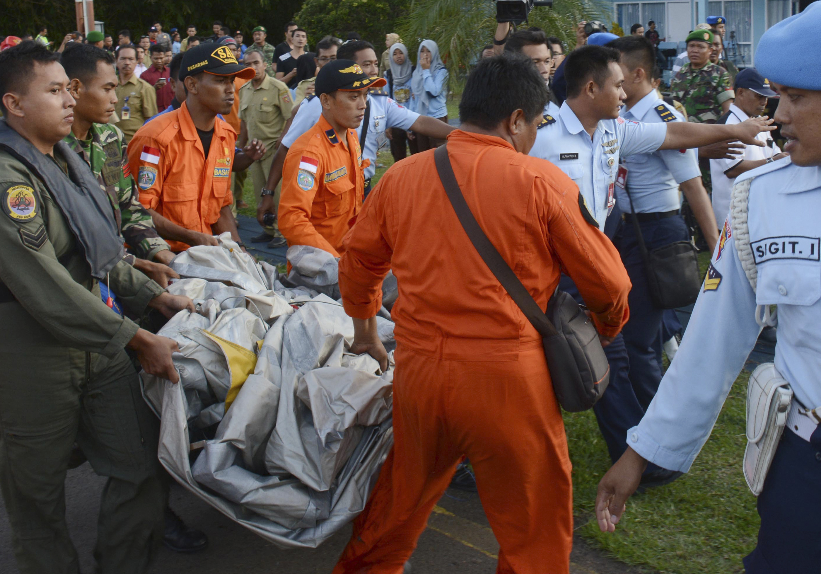 割引発見 Six bodies recovered from AirAsia crash レイアウト用品