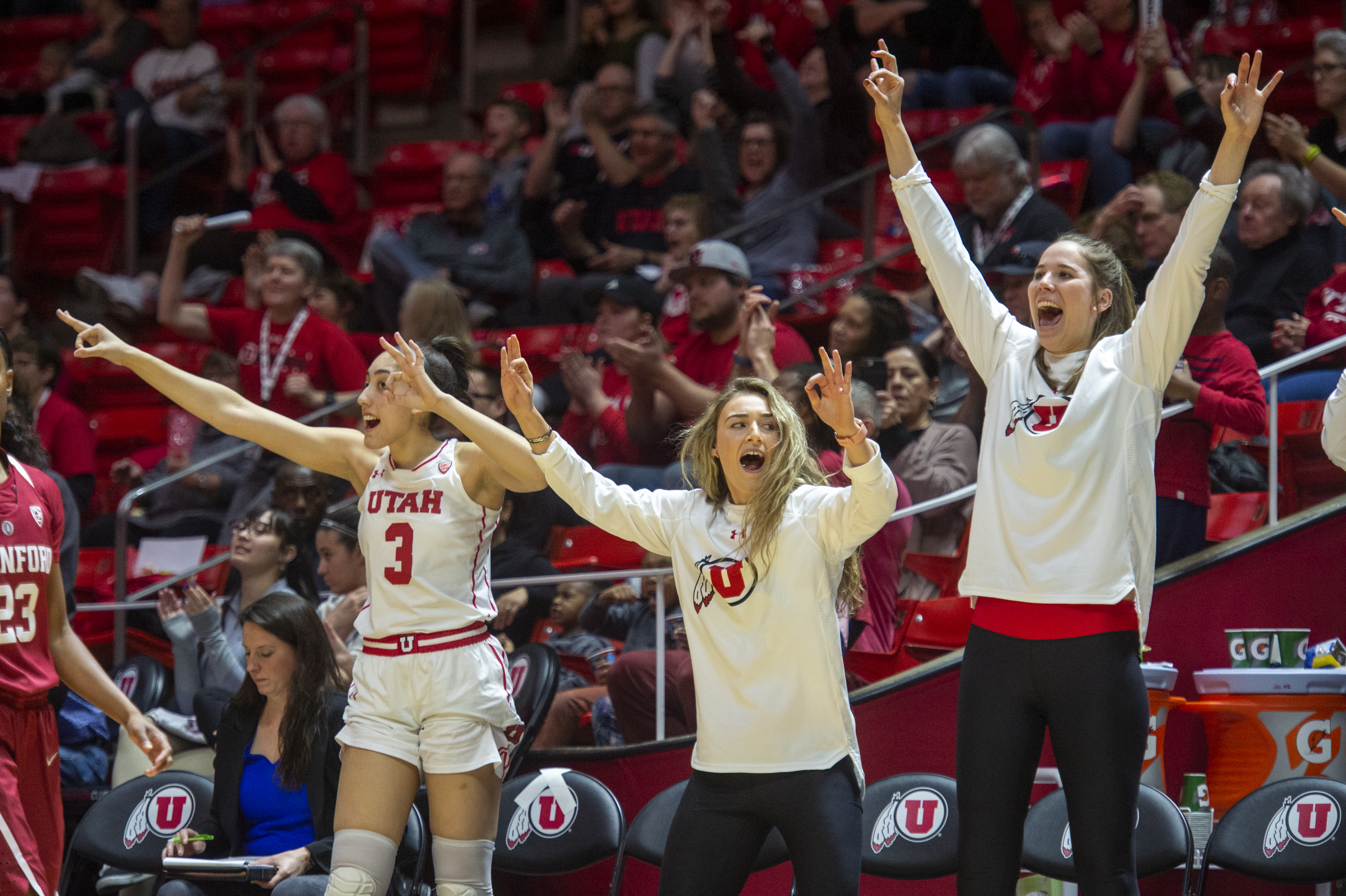 (Rick Egan | The Salt Lake Tribune) The Utah Utes bench celebrate as the Utes take he lead near the end of the game, in PAC-12 action between the Utah Utes and the Stanford Cardinals at the Jon M. Huntsman Center. Sunday, Jan. 27, 2019. 