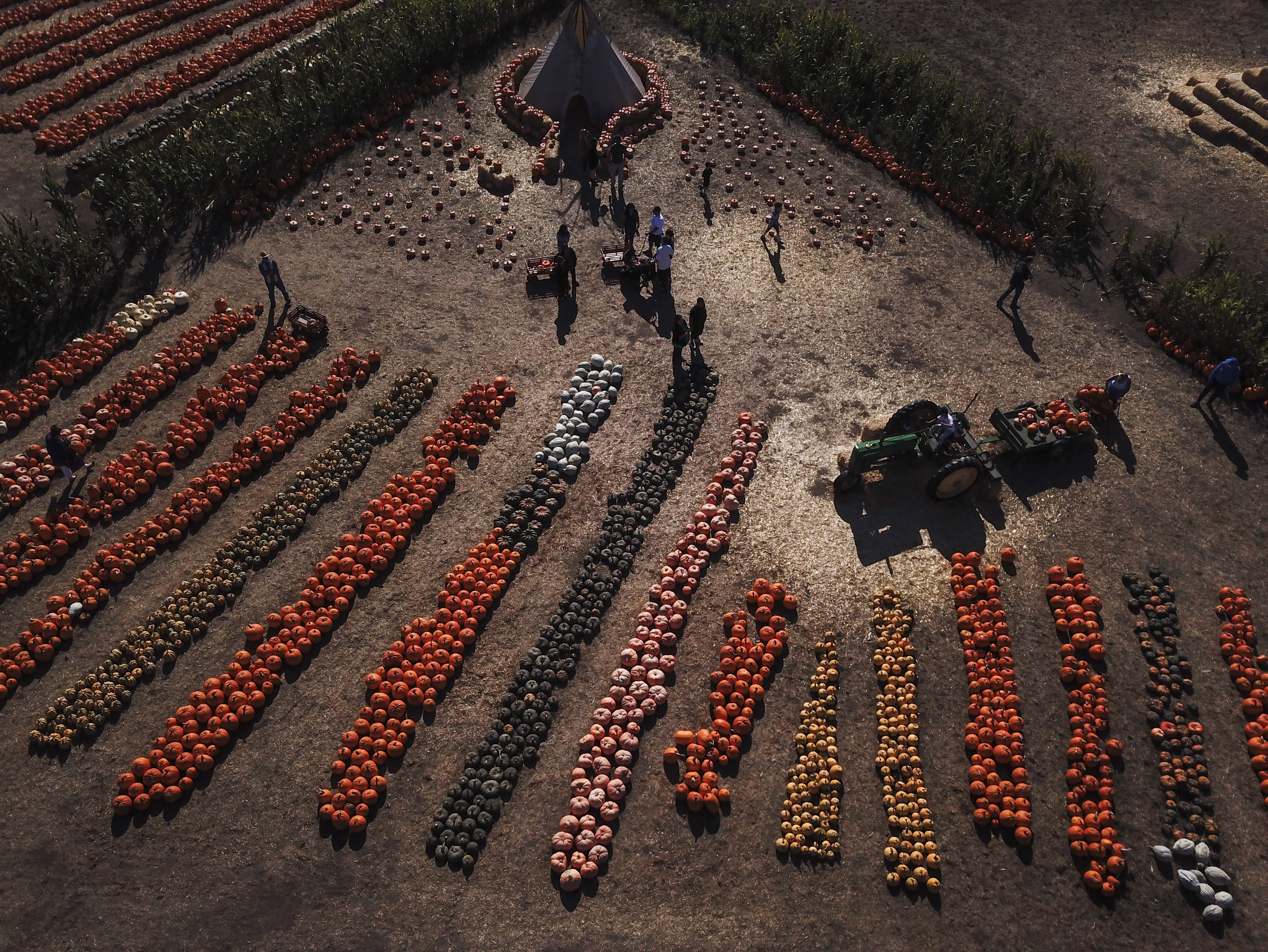 Eda and John Muller grow dozens of pumpkin varieties and take part in a festival that draws thousands of tourists to their small community each year. MUST CREDIT: Washington Post photo by Ricky Carioti