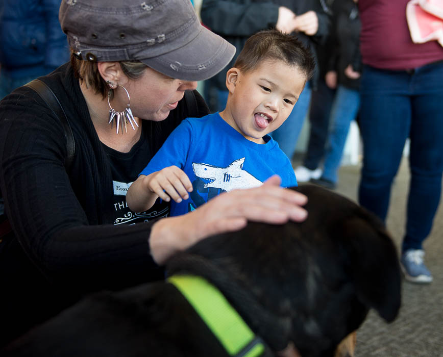 (Trent Nelson | The Salt Lake Tribune) Aly and Alex Cooper pet Forrest, a dog brought by Salt Lake County Animal Services promoting Love Your Pet Month and their pet adoption services at the Chinese New Year Celebration at the County Library's Viridian Event Center in West Jordan, Saturday Feb. 17, 2018.