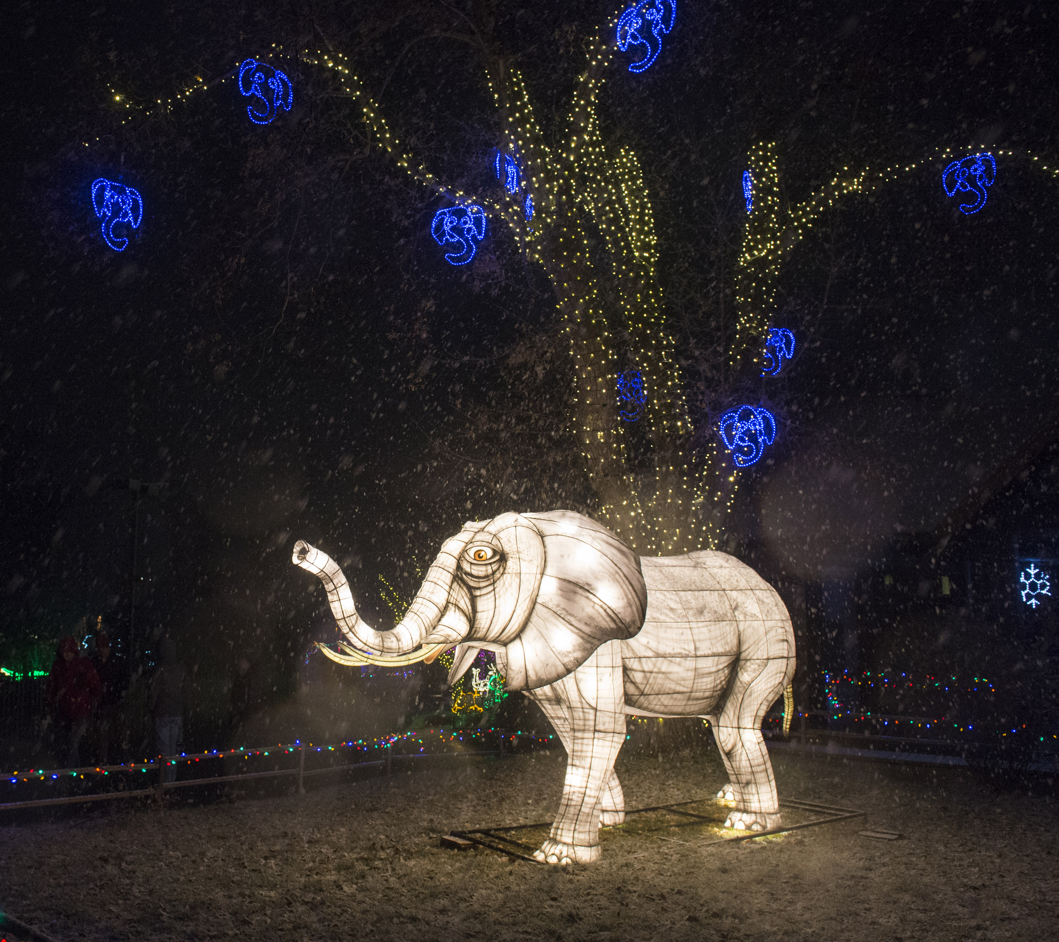 Gallery Utah’s Hogle Zoo annual winter lights show opens Shawn Miller