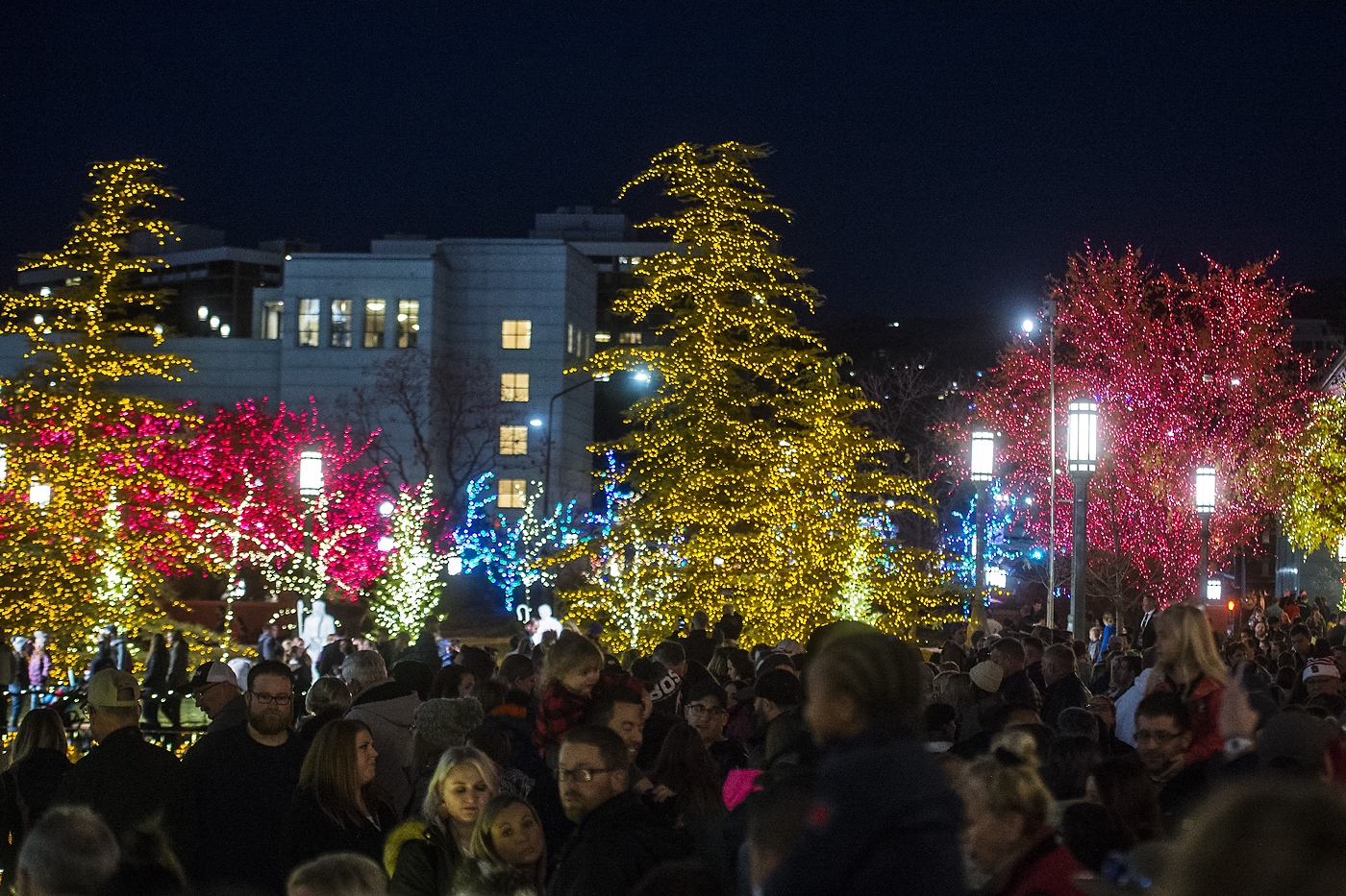 When the mormon church put the christmas lights