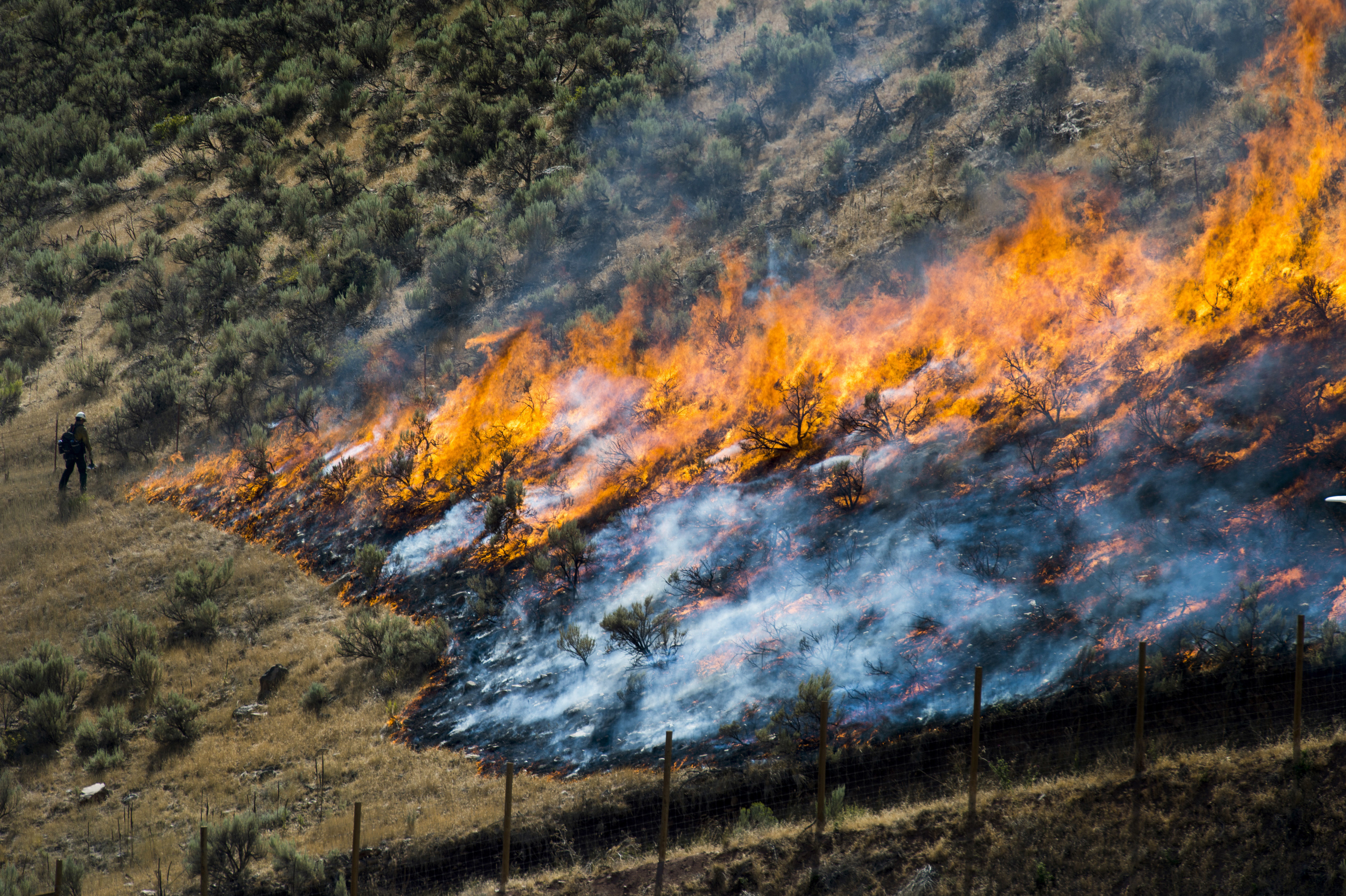 In this July 30, 2018 photo, firefighters control the Tollgate Canyon fire as it burns near Wanship, Utah. Mitt Romney is calling for a high-tech early detection system and more logging to prevent wildfires ravaging the U.S. West. The Republican running for a U.S. Senate seat in his adopted home state of Utah said in an essay Tuesday, Aug. 7, 2018, that government can do more to prevent fires there and other places like California, which is fighting its largest wildfire in state history. (Rick Egan/The Salt Lake Tribune)