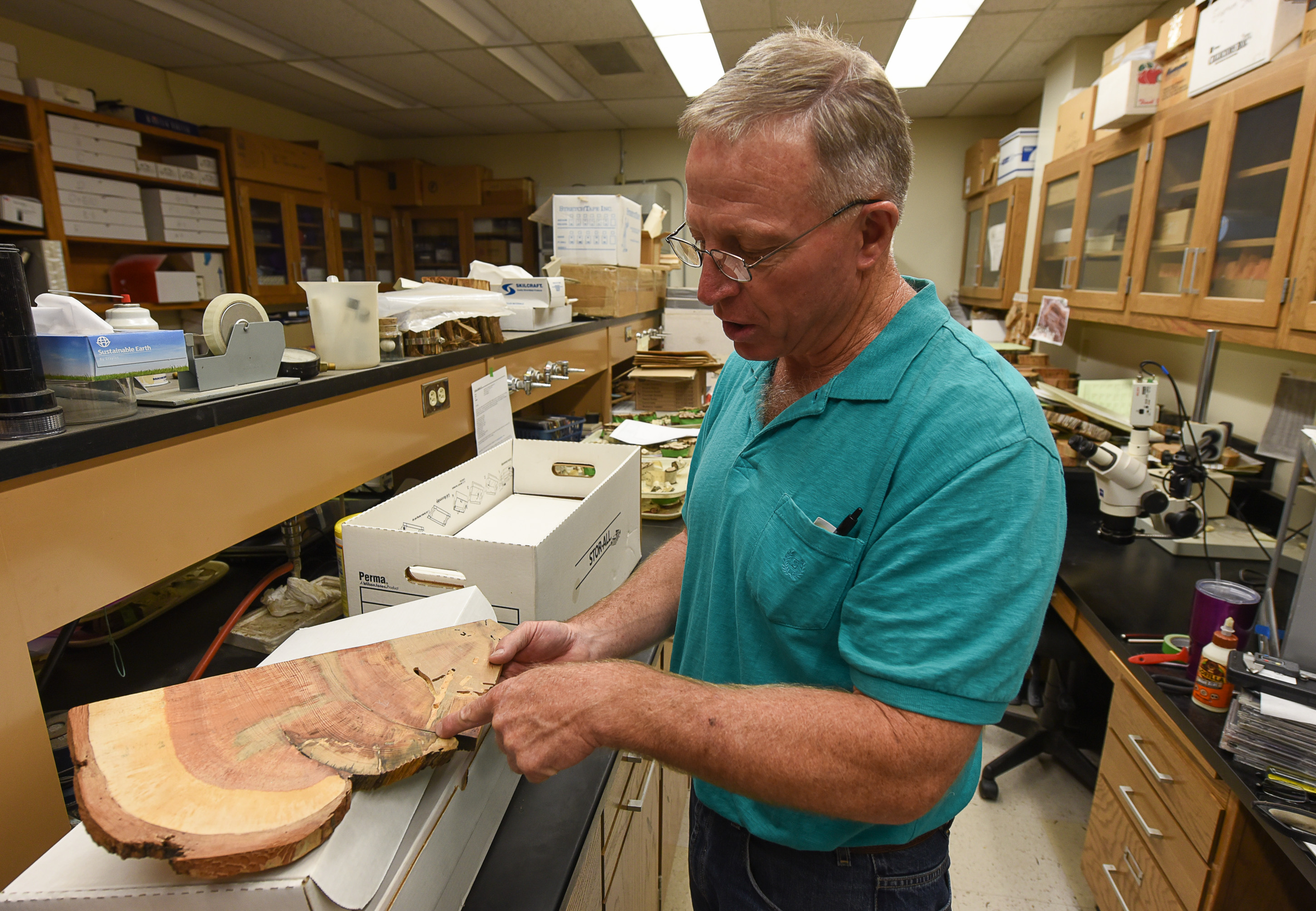 (Francisco Kjolseth | The Salt Lake Tribune) Stanley G. Kitchen, a research botanist at the Shrub Sciences Laboratory in Provo describes the details on a sample he took from the oldest known ponderosa pine from the Wah Wah Mountains dating it at 926 years old. Kitchen has reconstructed past fire regimes by examining tree ring data to get a clearer picture of our fire and climate history.