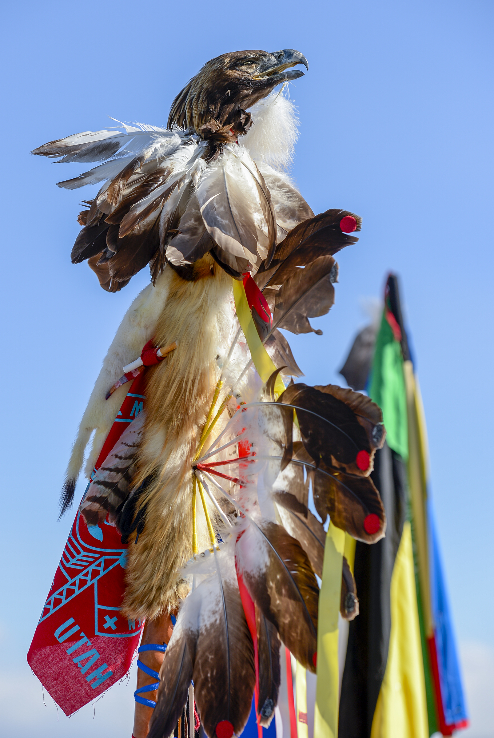 Leah Hogsten | The Salt Lake Tribune The golden eagle staff of Carl Moore, a Hopi and Chemehuevi Native American. Moore performed a hoop dance, made offerings to Mother Earth, sang and gave a prayer. The "Stop the Polluting Port" community coalition staged a May Day celebration, calling for respect and awareness of the water, earth and air regarding the 20,000 acres west of Salt Lake City where the inland port industrial site has been proposed.