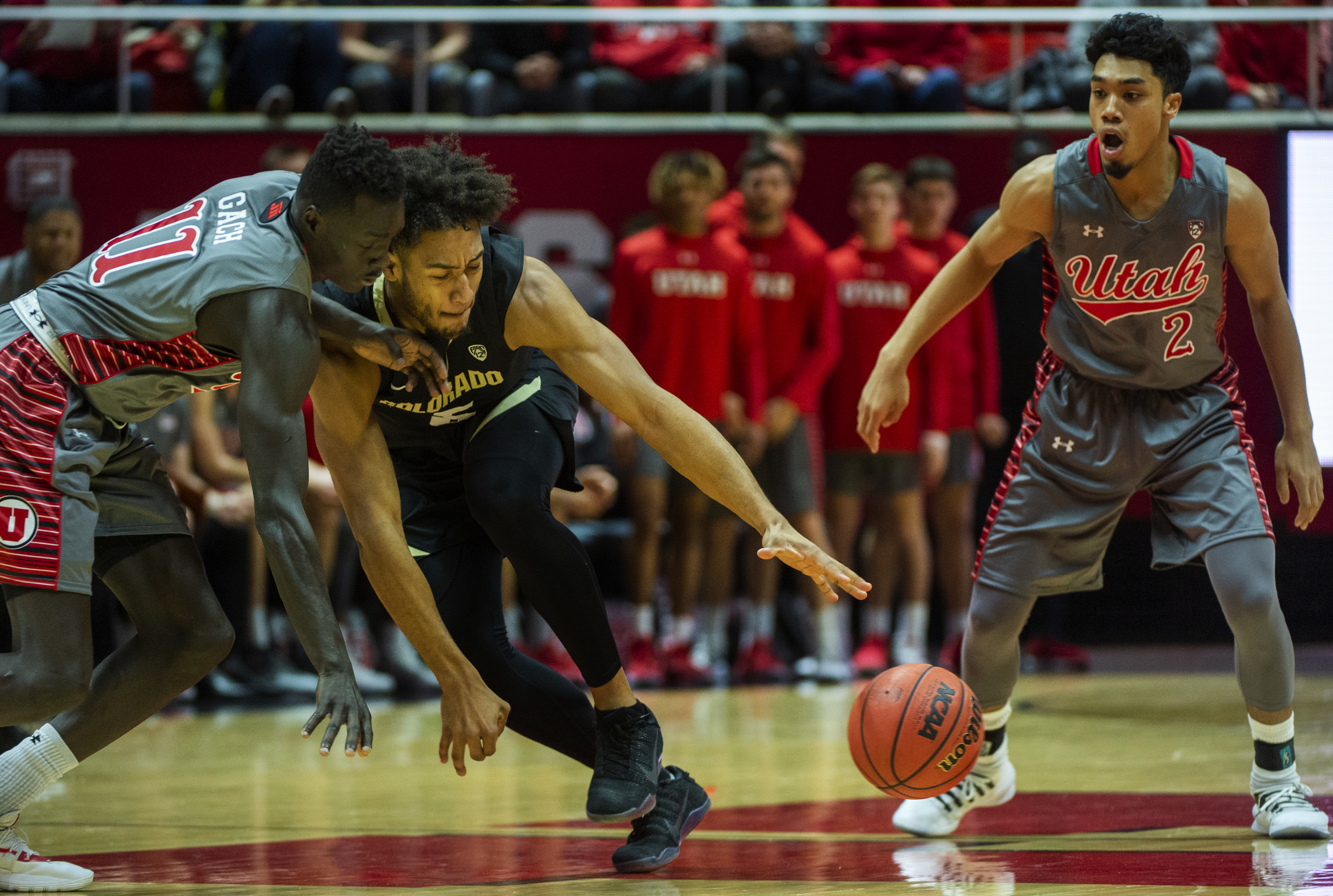 (Rick Egan | The Salt Lake Tribune) Utah Utes forward Both Gach (11) tips the ball away from Colorado Buffaloes guard D'Shawn Schwartz (5), as Utah Utes guard Sedrick Barefield (2) looks on, in PAC-12 basketball action between the Utah Utes and the Colorado Buffaloes at the Jon M. Huntsman Center, Sunday, Jan. 20, 2019. 