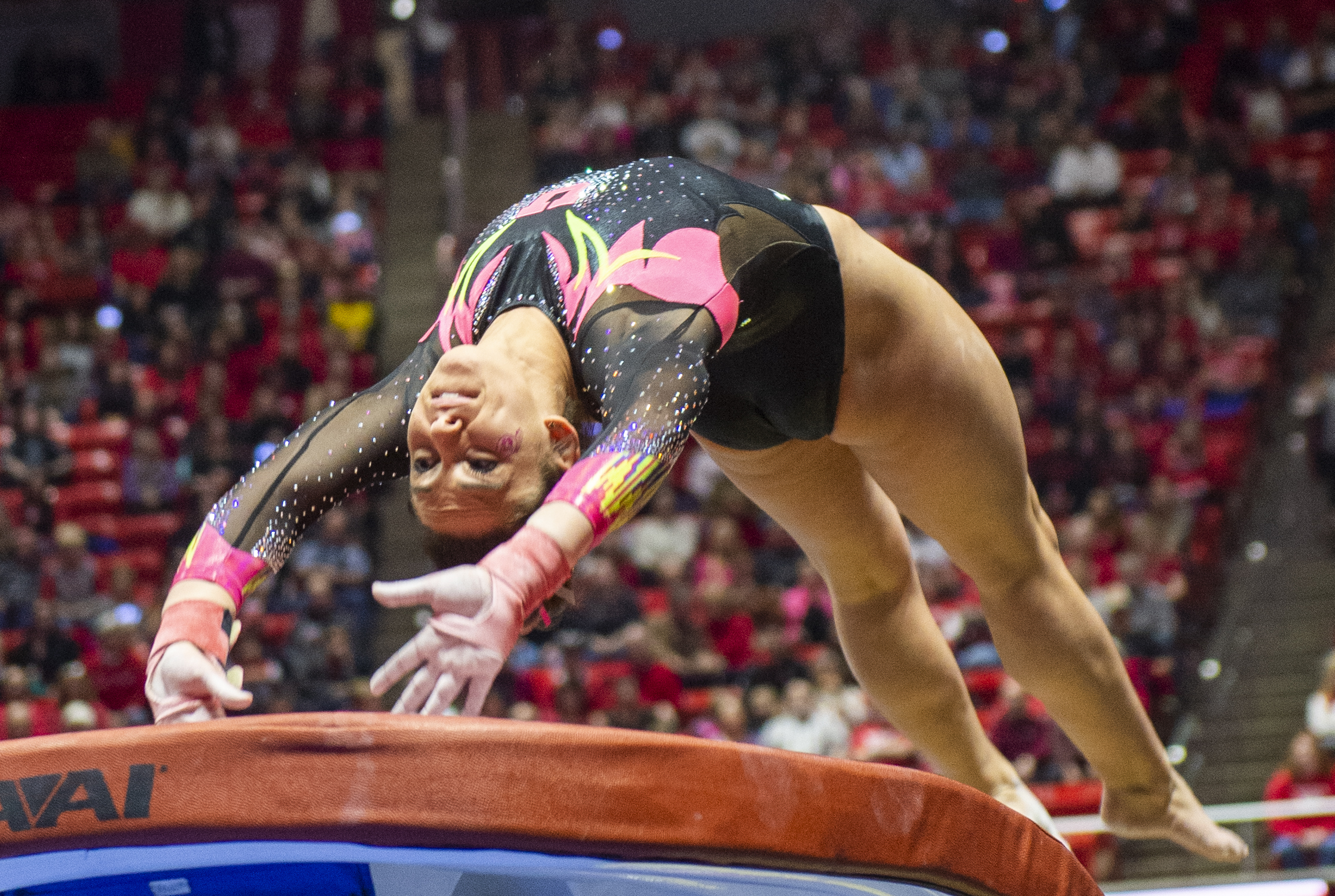 (Rick Egan | The Salt Lake Tribune) Macey Roberts competes on the vault, in PAC-12 Gymnastics action between the Utes and The California Golden Bears, in the Jon M. Huntsman Center, in Salt Lake City, Saturday, Feb. 9, 2019. 