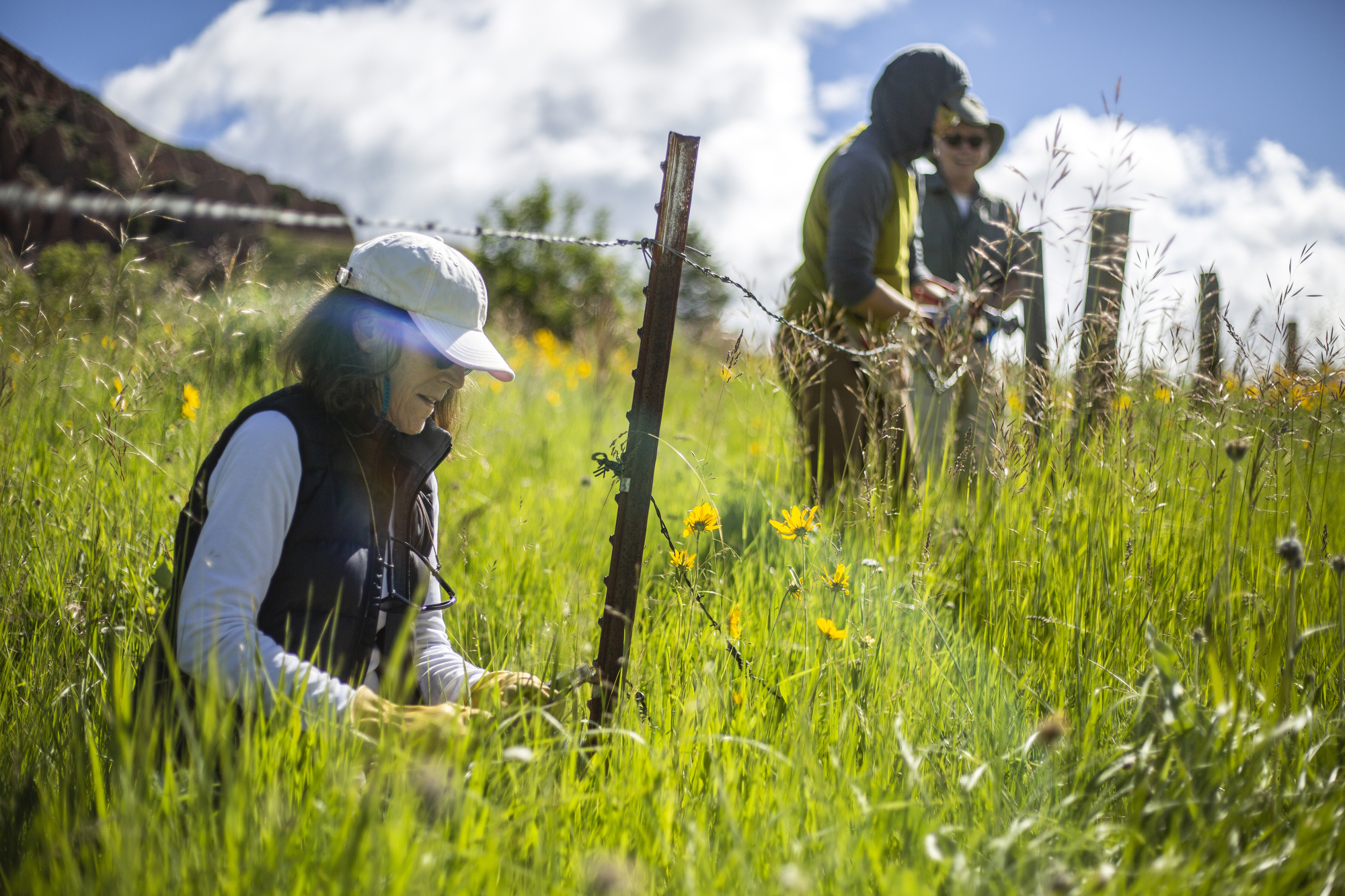 When fencing becomes an obstacle or hazard for migrating wildlife, one  Wyoming group steps in to disassemble it. So far, members have pulled 200  miles of barbed wire.