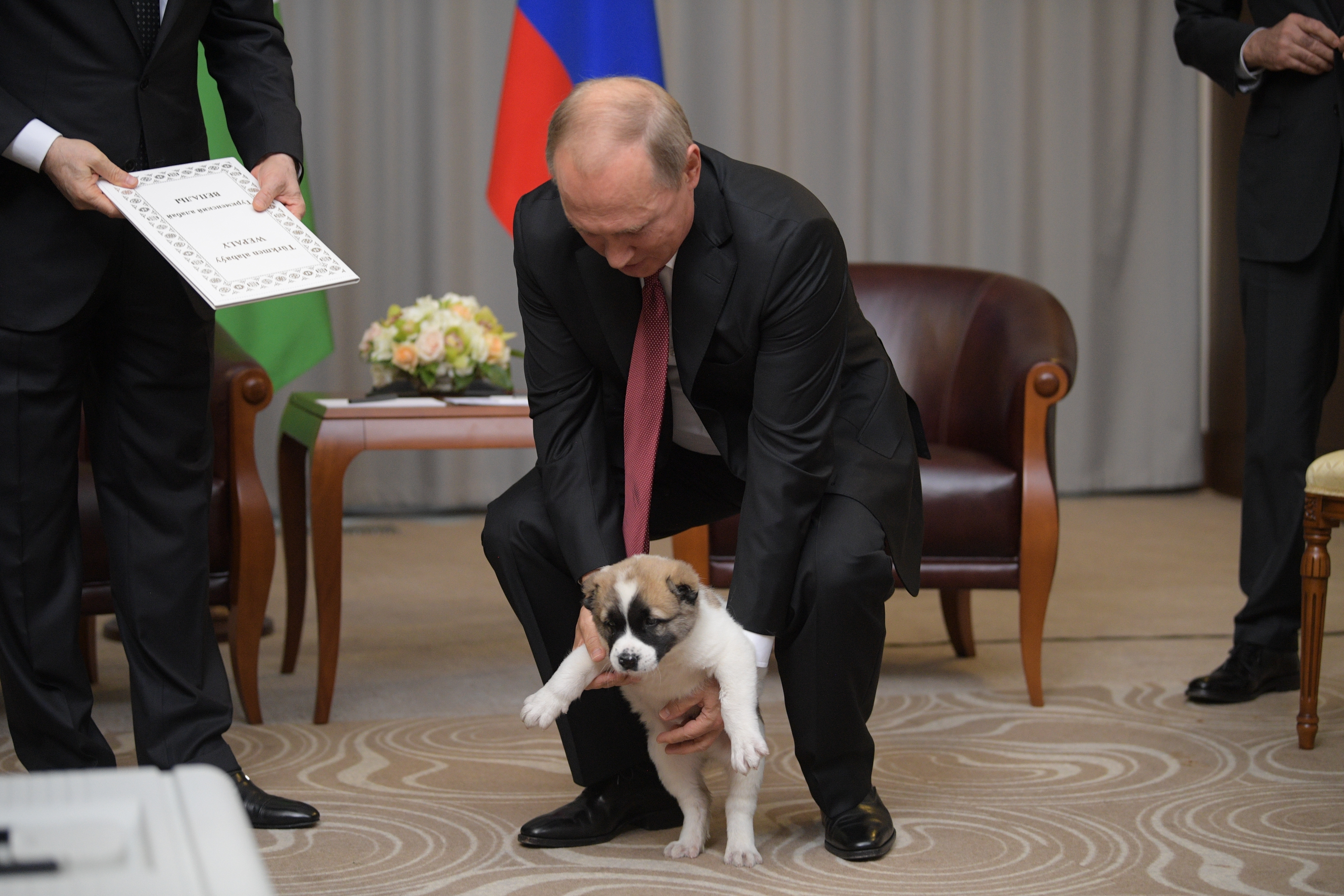 Putin puppy best sale